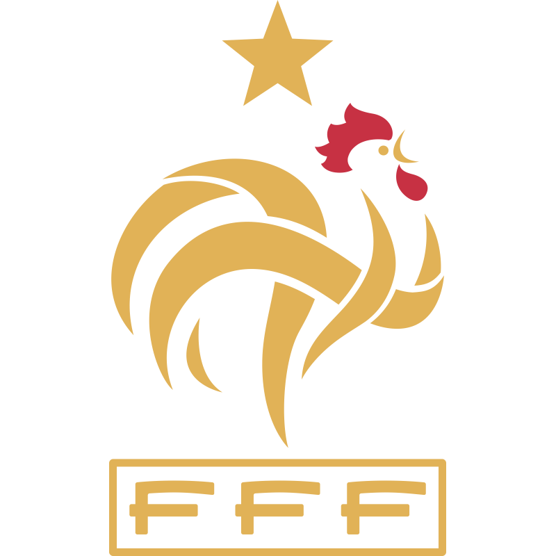File:Futebol Brasil x França (22070226815).jpg - Wikimedia Commons